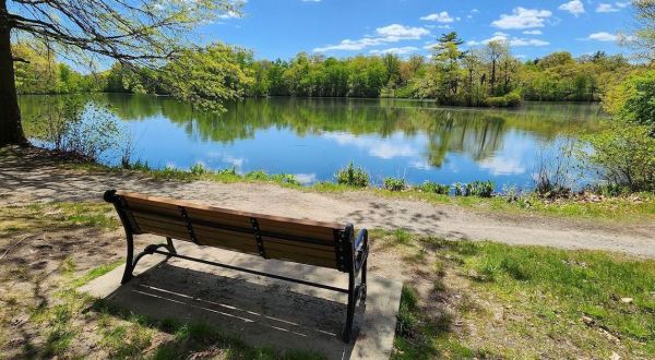 Rhode Island’s Most Refreshing Hike, Roger Williams Pond Trail, Will Lead You Straight To A Beautiful Pond