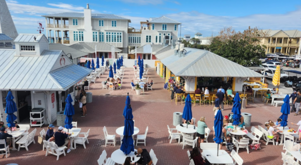 Meet The Famous Dog & Cat Who Inspired An Iconic Restaurant In Florida