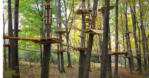 An Adventure Park Hiding In The Middle Of A Michigan Forest, TreeRunner Is An Exciting Attraction