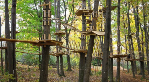 An Adventure Park Hiding In The Middle Of A Michigan Forest, TreeRunner Is An Exciting Attraction
