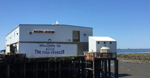 The Fish Peddler In Oregon Is A No-Fuss Hideaway With The Best Fresh Oysters