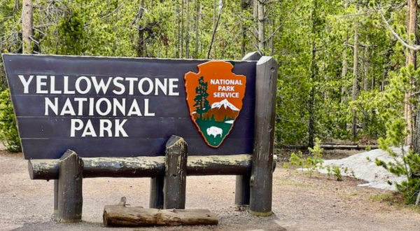 Explore The Road Less Traveled At Yellowstone National Park And Discover Endless Hidden Gems