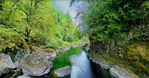 7 Oregon Swimming Holes That Will Make Your Summer Epic