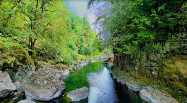 7 Oregon Swimming Holes That Will Make Your Summer Epic