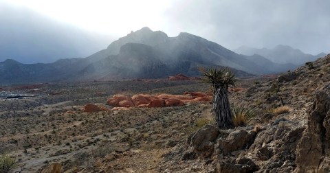 We Bet You Didn't Know There Was A Miniature Red Rock Park In Nevada