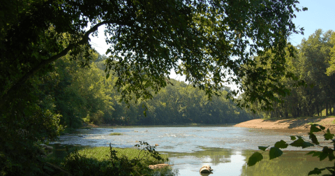 The Amazing Coal River Beaches Every West Virginian Will Want To Visit