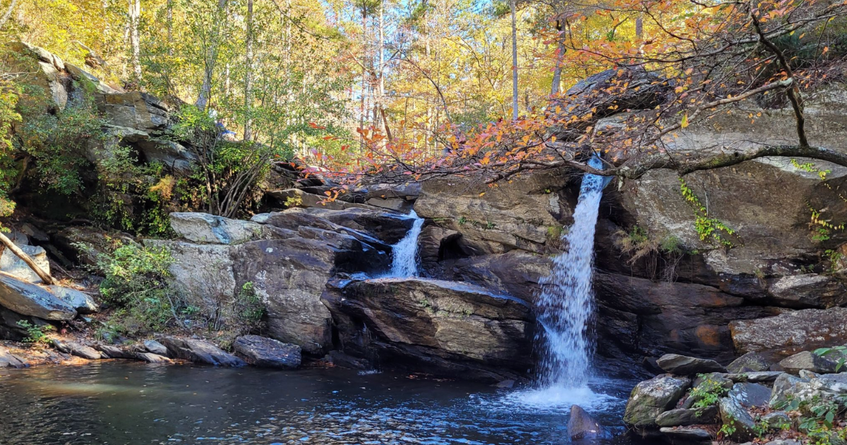 18 Best Hikes In Alabama: The Top-Rated Hiking Trails To Visit In 2024