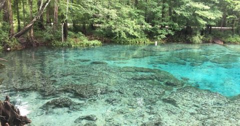 9 MORE Florida Swimming Holes That Will Make Your Summer Memorable (Part II)