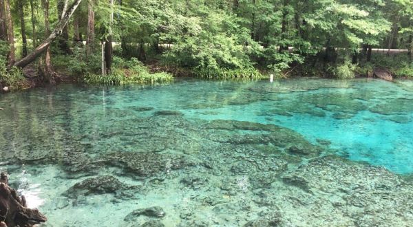 9 MORE Florida Swimming Holes That Will Make Your Summer Memorable (Part II)