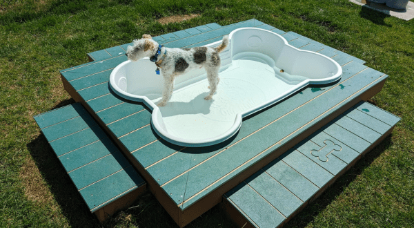 This Ohio State Park Has A Next-Level Splash Park And Obstacle Course… For Dogs