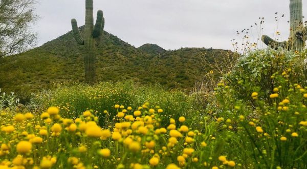 You Could Spend Forever Exploring This Arizona Small Town, But We’ll Settle For A Weekend