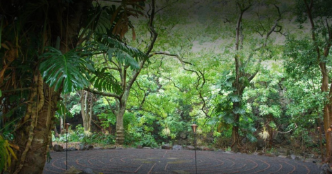 Find Peace At This Sacred Garden Tucked Away Off The Beaten Path In Hawaii