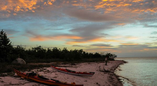 Paddle Through The Largest Tropical Wilderness In The U.S., The Everglades In Florida