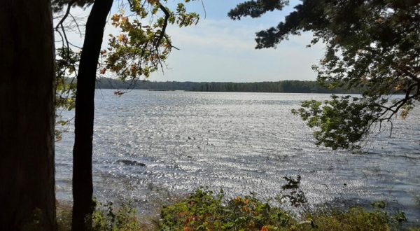 Pillsbury State Forest In Minnesota Is So Little-Known, You Just Might Have It All To Yourself