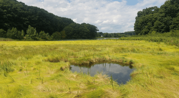 Mamacoke Conservation Area In Quaker Hill, Connecticut Is So Little-Known, You Just Might Have It All To Yourself