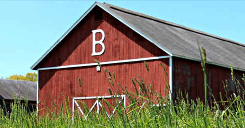 Pick Your Own Strawberries At This Charming Farm Hiding In Connecticut
