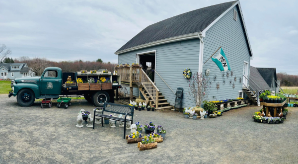 A Trip To This Connecticut Farmers Market On Wheels Will Make Your Weekend Complete