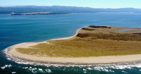 Leadbetter Point State Park In Ocean Park, Washington, Is So Little-Known, You Just Might Have It All To Yourself
