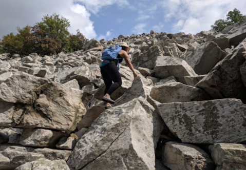 Devil's Marbleyard Is A Magical Place In Virginia That You Thought Only Existed In Your Dreams