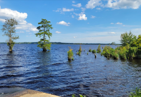 Teeming With Adventure, The Great Dismal Swamp In Virginia Was Once Over 1 Million Acres