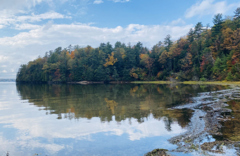 Hike Through A Hidden Forest Then Dine At A Small-Town Café On This Delightful Adventure In Vermont