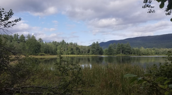 Few People Know There’s A Beautiful State Park Hiding In This Tiny Massachusetts Town