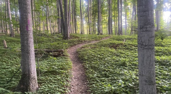 Hike A Little-Known Trail Then Dine At A Small-Town Cafe On This Delightful Adventure In Michigan