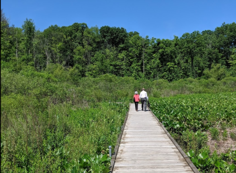 Few People Know There's A Beautiful State Park Hiding In This Tiny Greater Cleveland Town