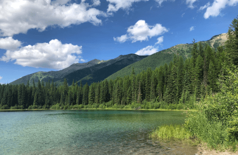 Clearwater Lake In Condon, Montana Is So Little-Known, You Just Might Have It All To Yourself