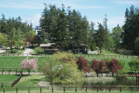 There's A Bed And Breakfast Hidden On An 80-Acre Horse Farm In Washington That Feels Like Heaven