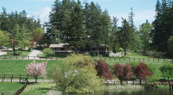 There’s A Bed And Breakfast Hidden On An 80-Acre Horse Farm In Washington That Feels Like Heaven