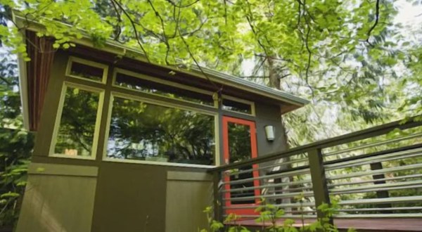 Spend The Night In This Incredible Washington Urban Treehouse For An Unforgettable Adventure