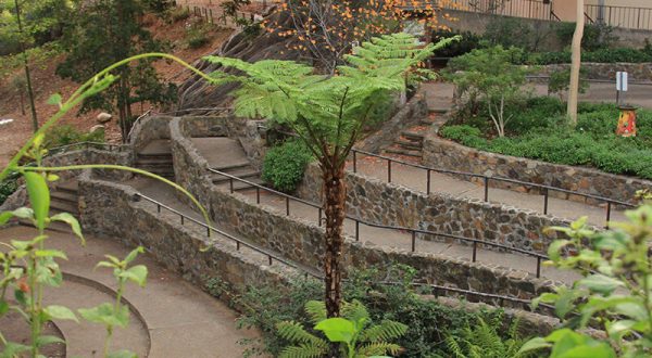 Southern California’s Rock Garden And Grotto, Zoro Garden, Is A Work Of Art