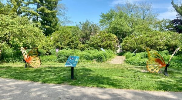 This Butterfly Garden In Berwyn, Illinois Is So Little-Known, You Just Might Have It All To Yourself