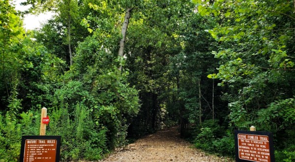 Visit The Dallas W. Fanning Preserve, One Of Alabama’s Most Underrated Nature Preserves And A Great Summer Destination