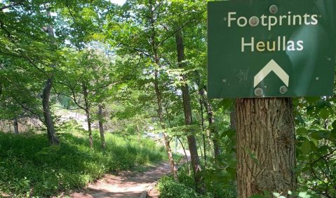 Walk Along Hundreds Of Dinosaur Tracks On This Short And Easy Hiking Trail In Massachusetts