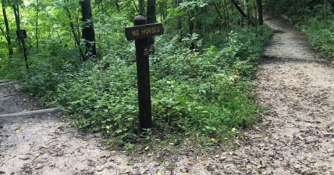Walk Where Prehistoric Creatures Roamed On This Hiking Trail In Minnesota