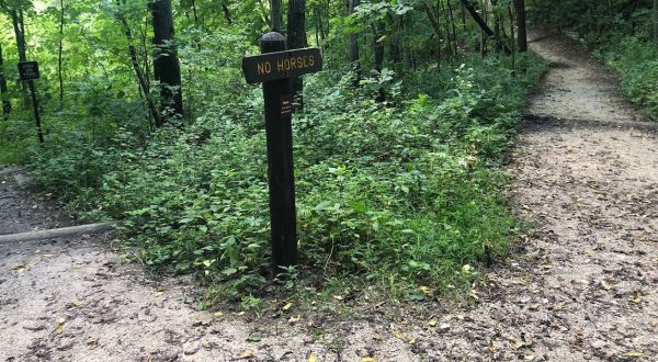 Walk Where Prehistoric Creatures Roamed On This Hiking Trail In Minnesota
