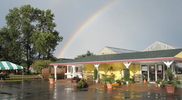 You’ll Find Hundreds Of Varieties Of Plants, Herbs And Vegetables At Waldoch Farm Garden Center In Minnesota