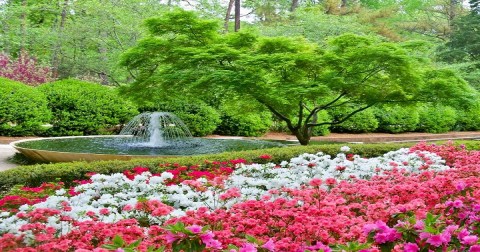 Glencairn Garden Is A Magical Place In South Carolina That You Thought Only Existed In Your Dreams
