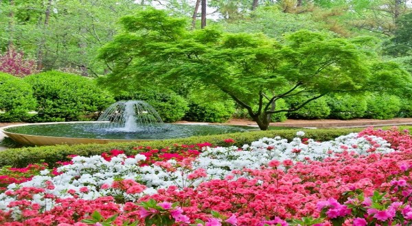 Glencairn Garden Is A Magical Place In South Carolina That You Thought Only Existed In Your Dreams