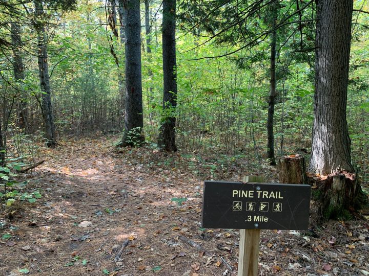 Pine Trail at Range State Park