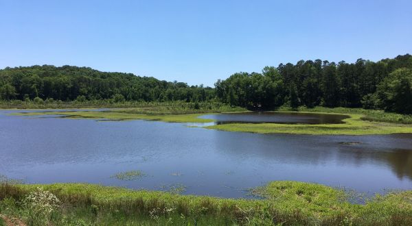 Take An Easy Loop Trail To Enter Another World At North Cypress Non-Motorized Trail In Mississippi