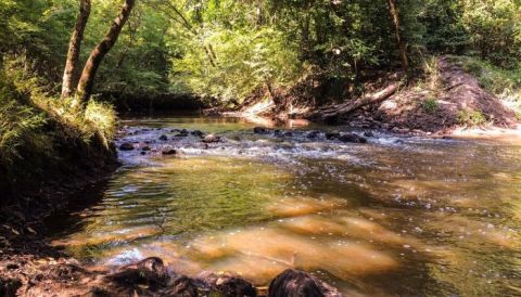 Few People Know There's A Beautiful State Park Hiding In This Tiny North Carolina Town