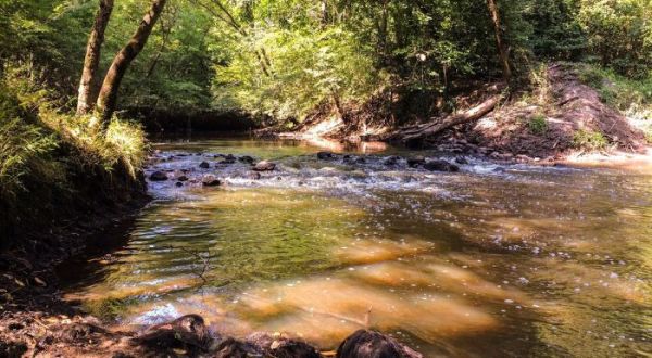 Few People Know There’s A Beautiful State Park Hiding In This Tiny North Carolina Town