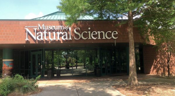 You Have To Visit This Incredible Dinosaur Museum In Mississippi
