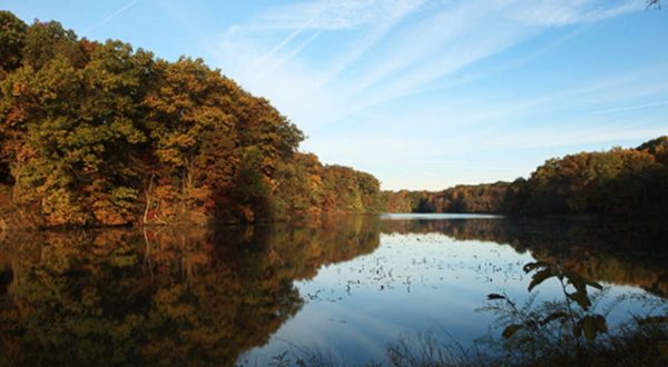 Few People Know There’s A Beautiful State Park Hiding In This Tiny Illinois Town
