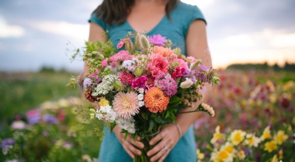A Colorful U-Pick Flower Farm, Calliope Flowers In Montana Is Like Something From A Dream