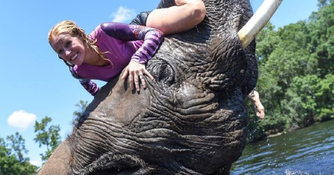 REDIRECTED You Can Swim With Bubbles The Elephant At Myrtle Beach Safari In South Carolina