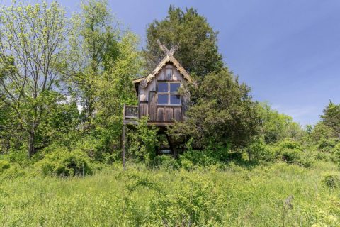 Spirithouse Treehouse Is A Magical Place In New York That You Thought Only Existed In Your Dreams